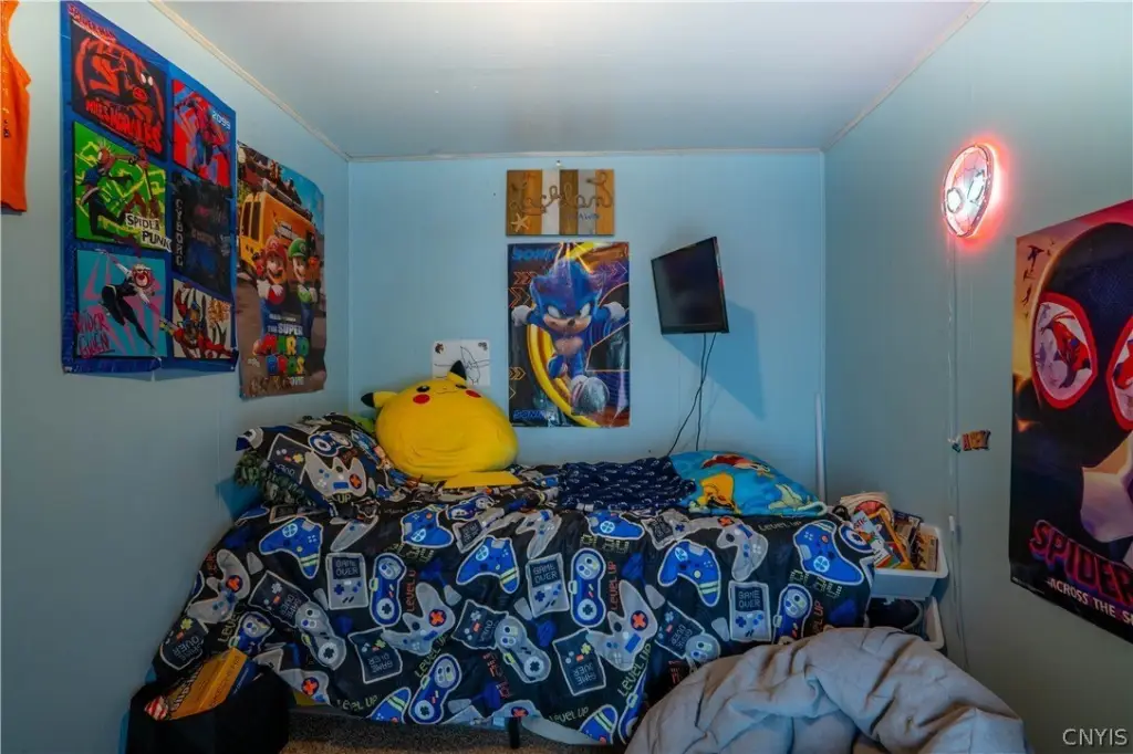 Picture 31
