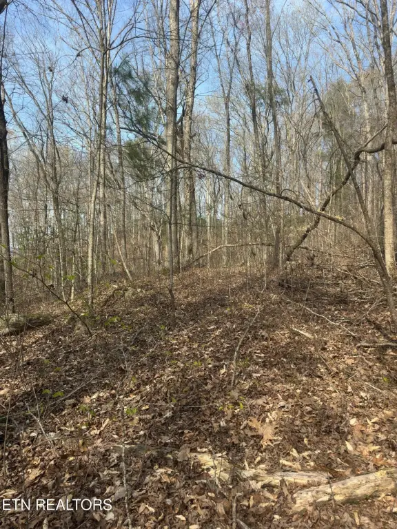 Picture 3