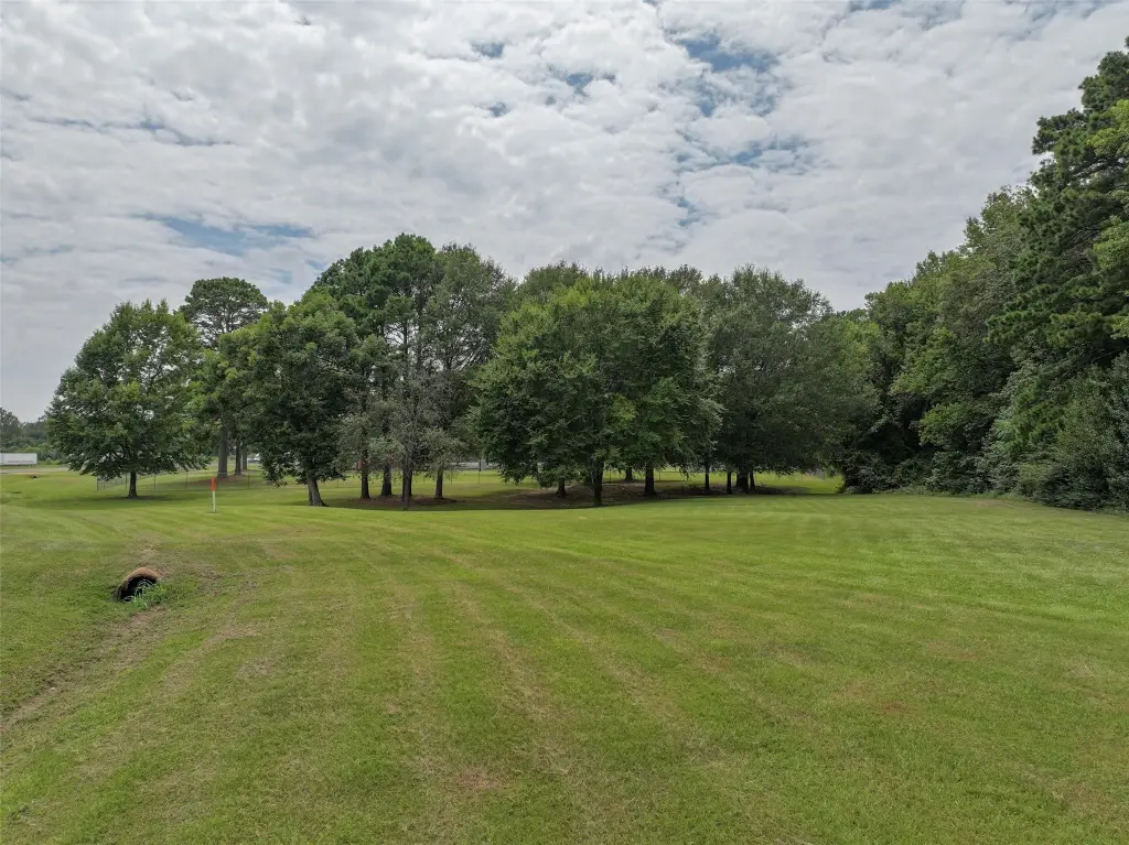 Picture 19