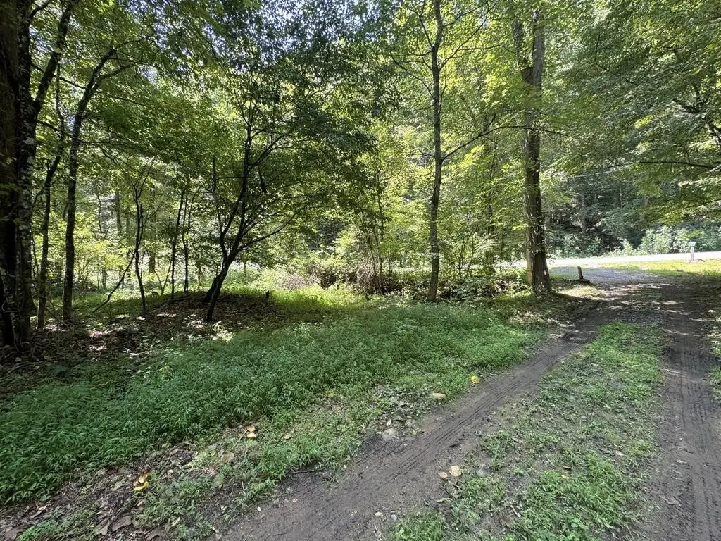 Picture 18