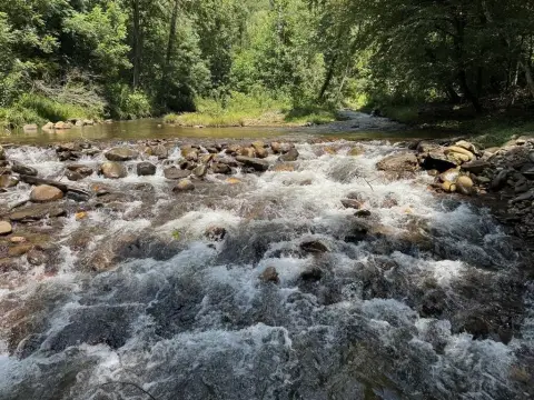 Waterfront Land With Creek Frontage