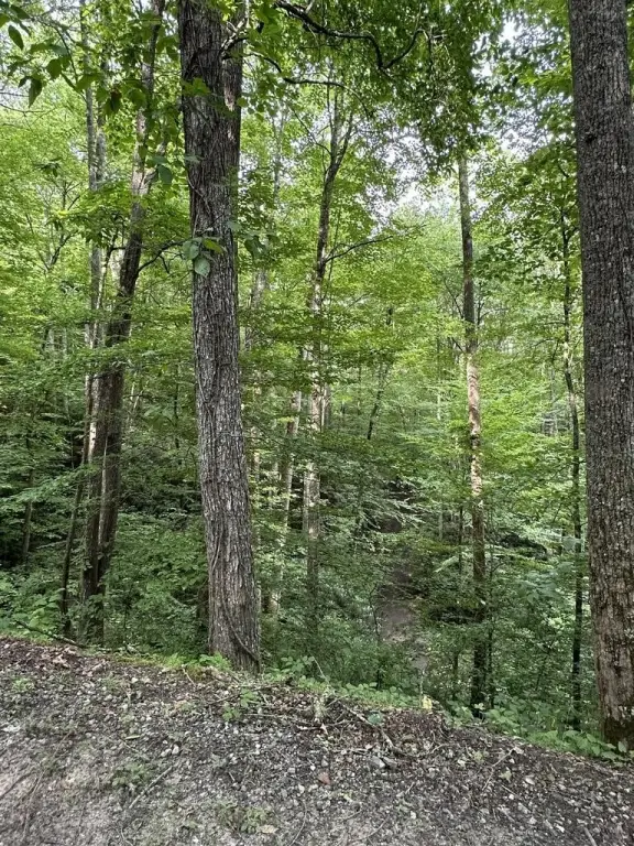 Picture 16
