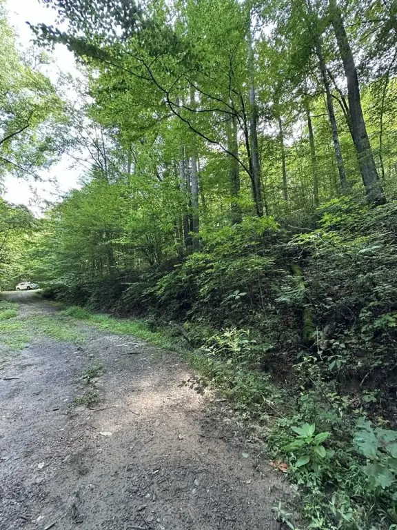 Picture 20