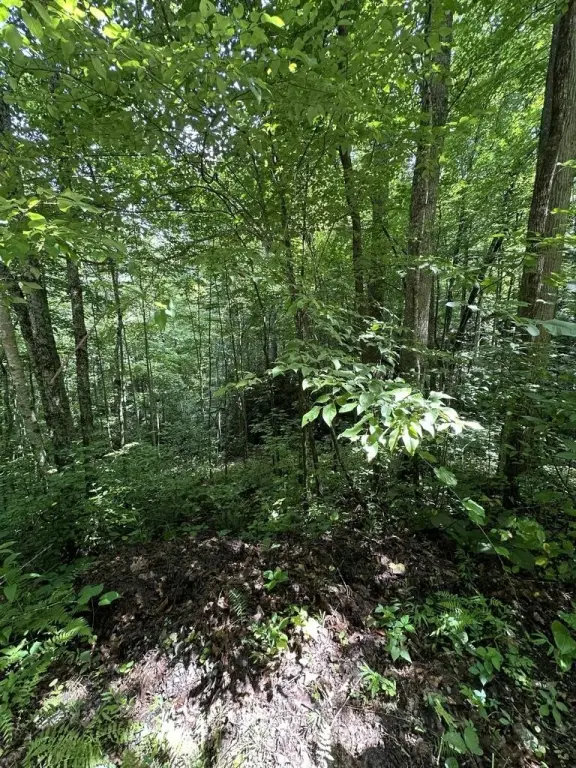 Picture 22