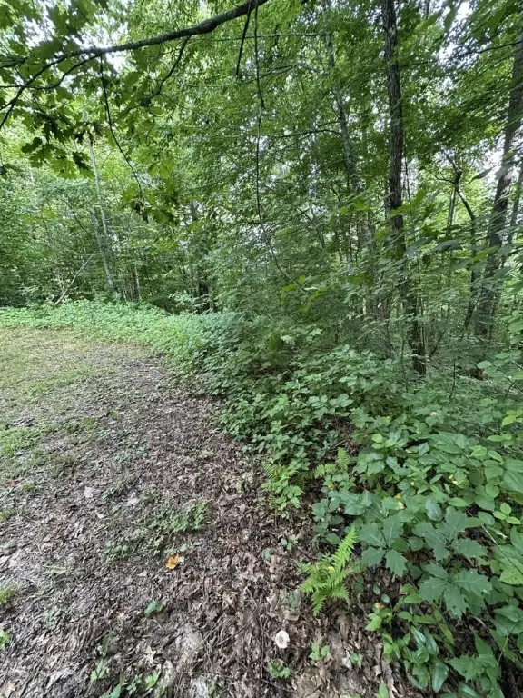 Picture 19
