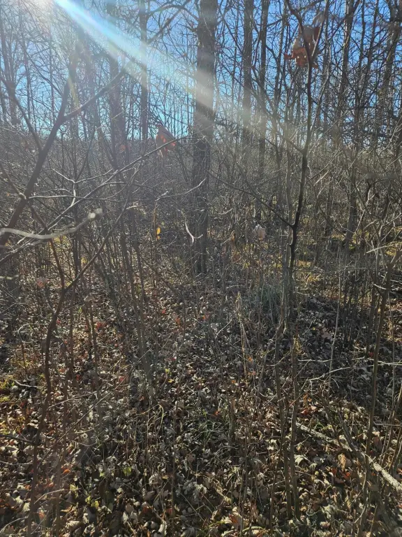 Picture 3
