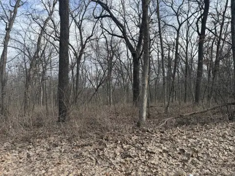 Wooded Lot in Rural Argyle