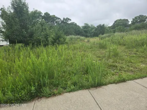 Residential Land in Manahawkin, NJ