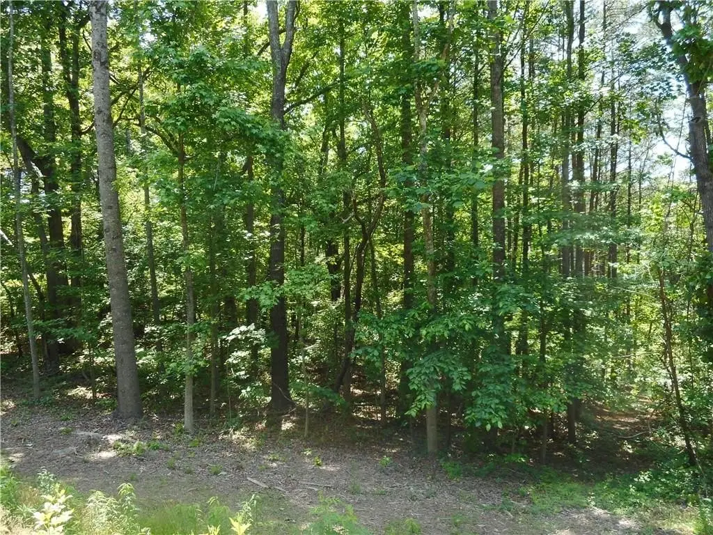 Picture 3