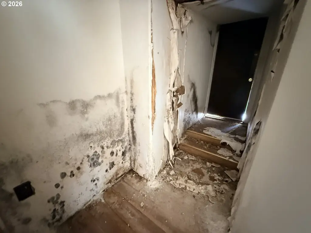 Picture 24