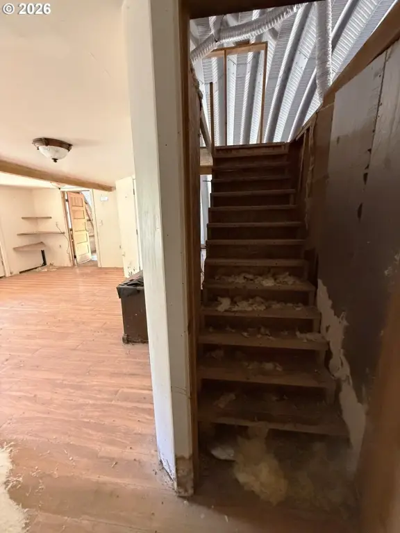 Picture 25