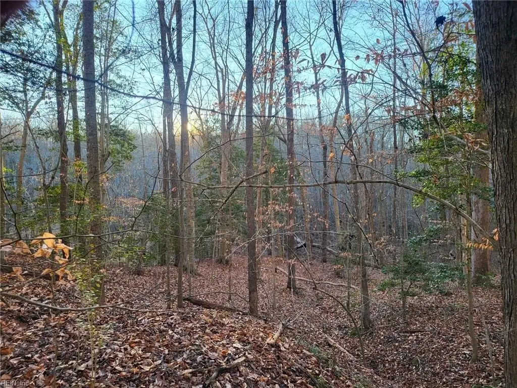 Picture 4