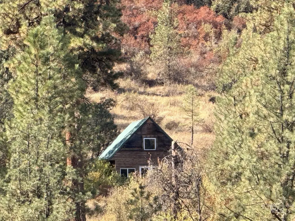 Picture 11