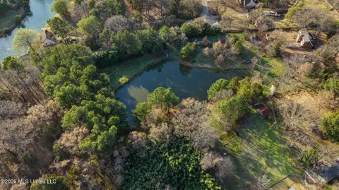Olive Branch Homesite on 1.75 Acres