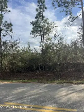 Saucier Land For Sale