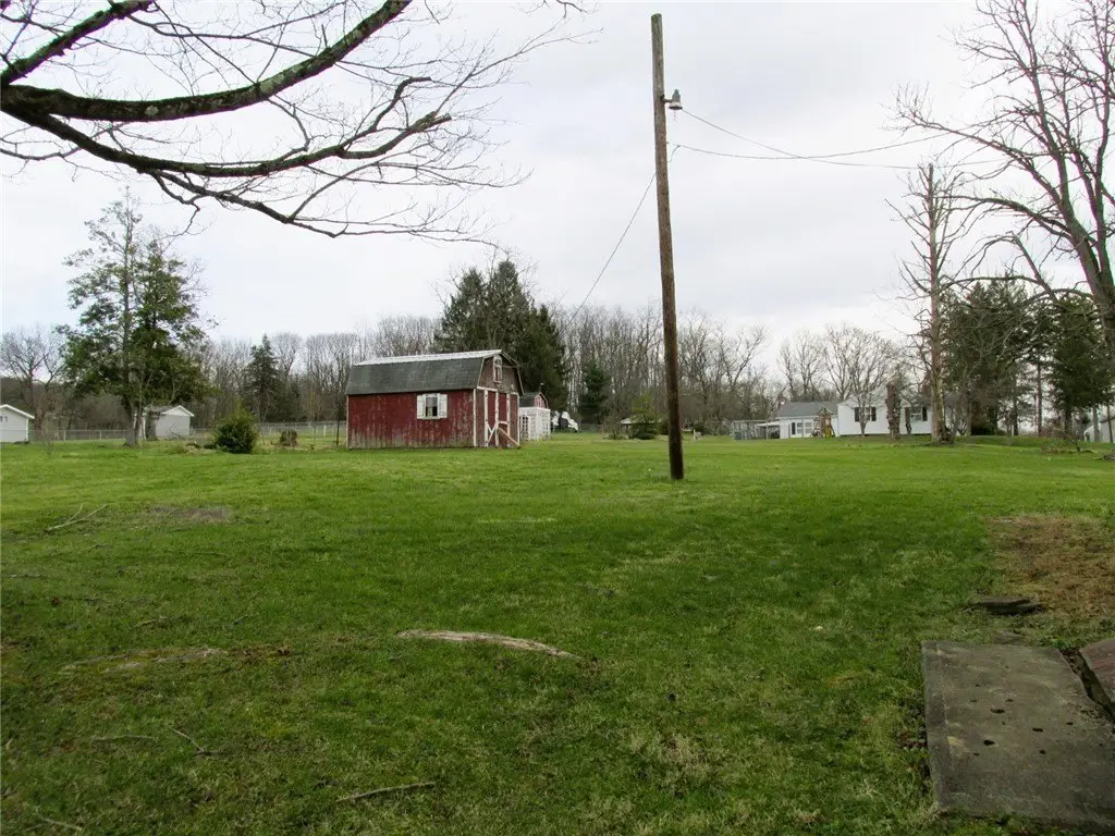 Picture 25