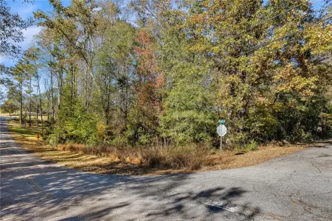 Residential Lot in Norris, SC