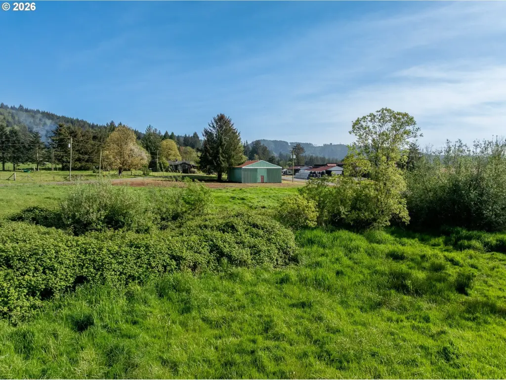 Picture 25