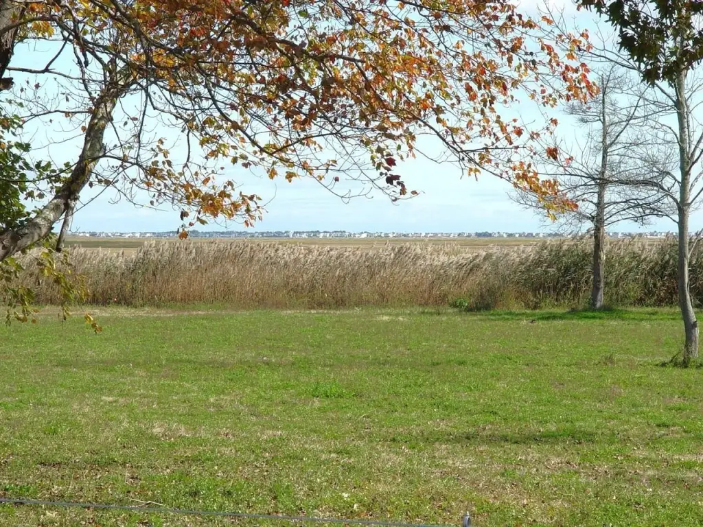 Picture 6