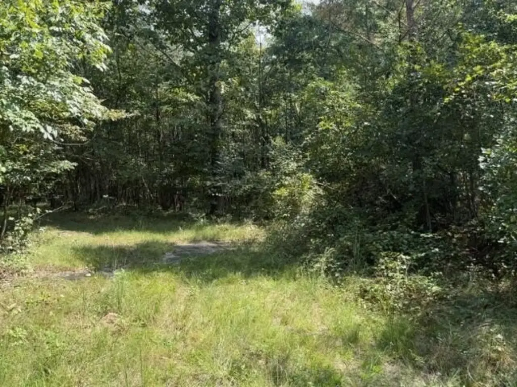 Picture 13