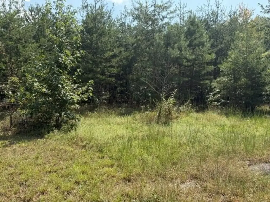Picture 18