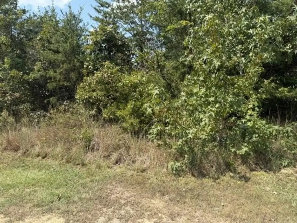 Picture 3
