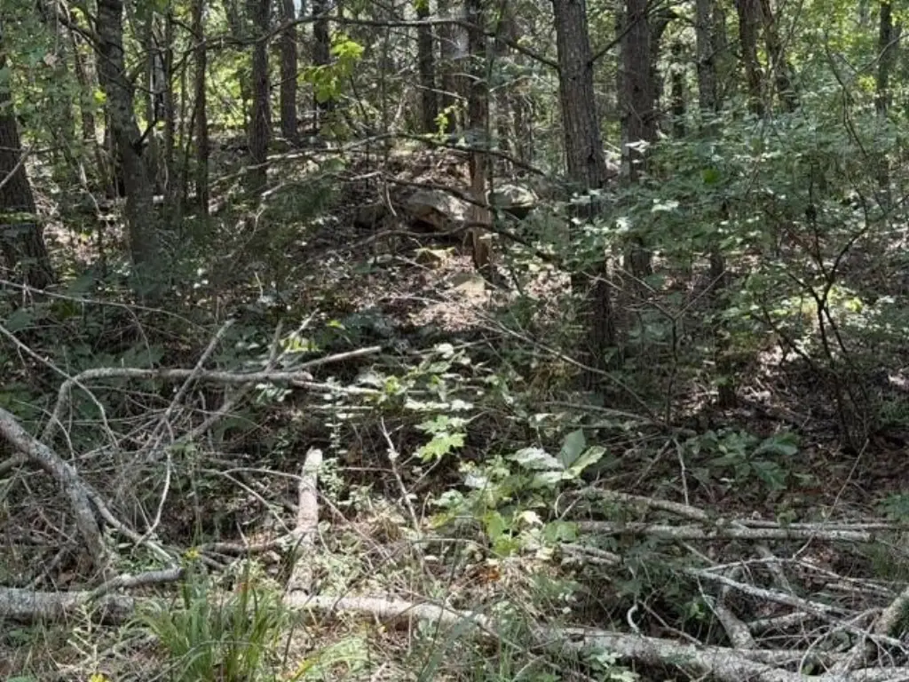 Picture 9