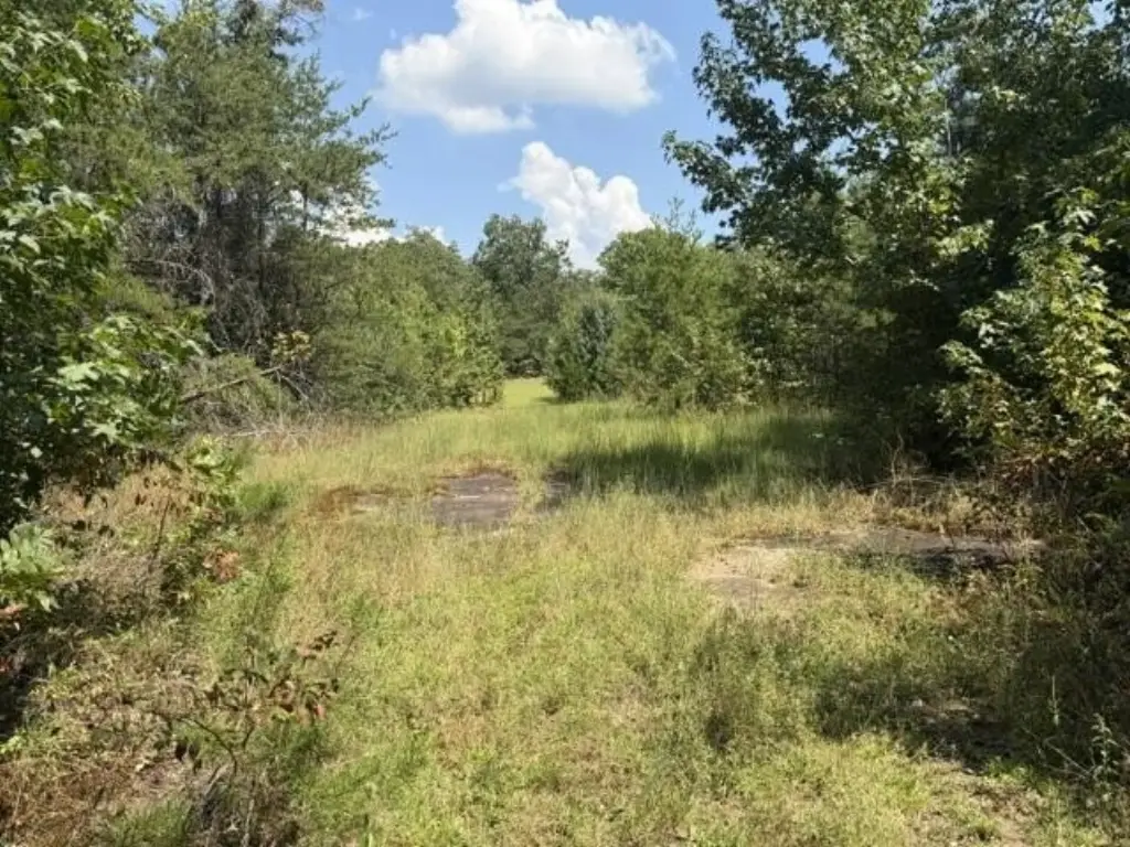Picture 20