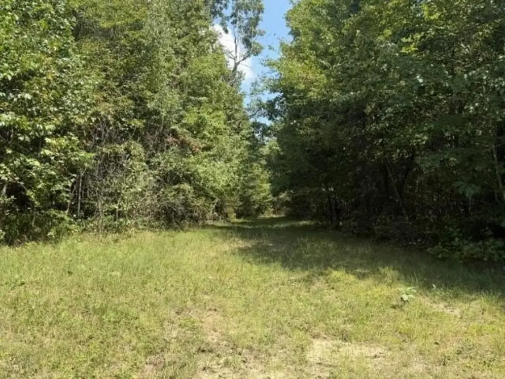 Picture 26
