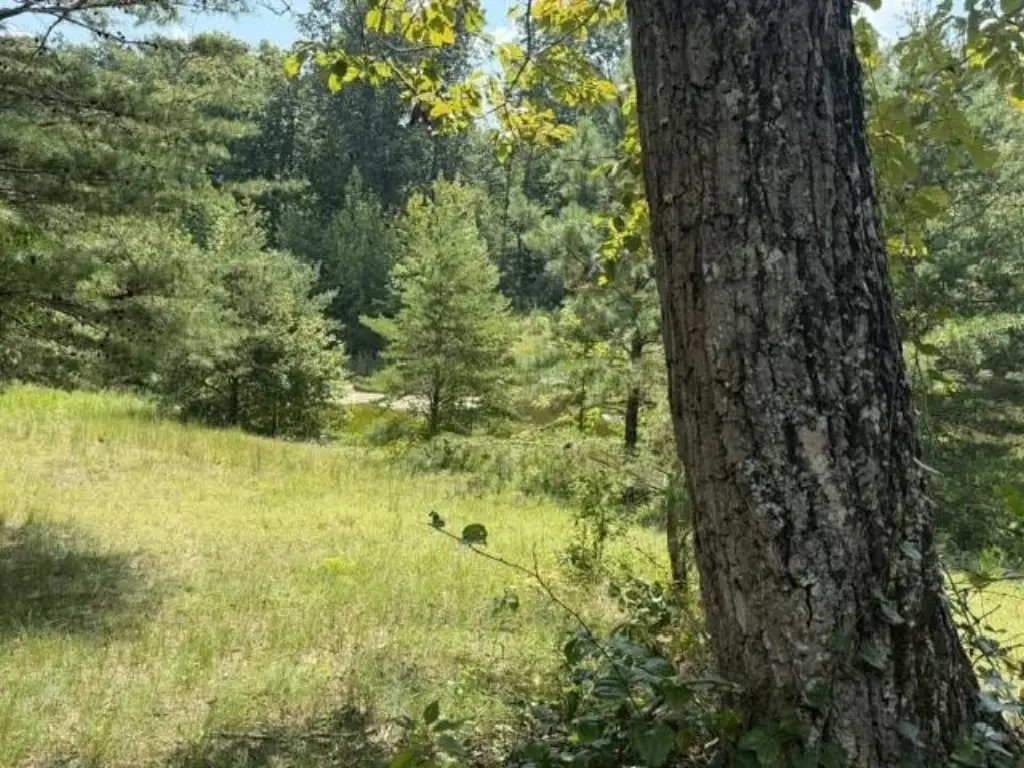 Picture 22