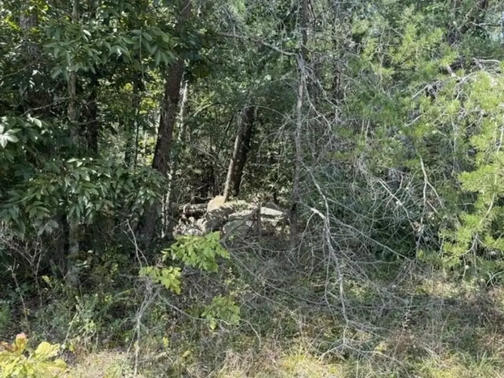 Picture 16