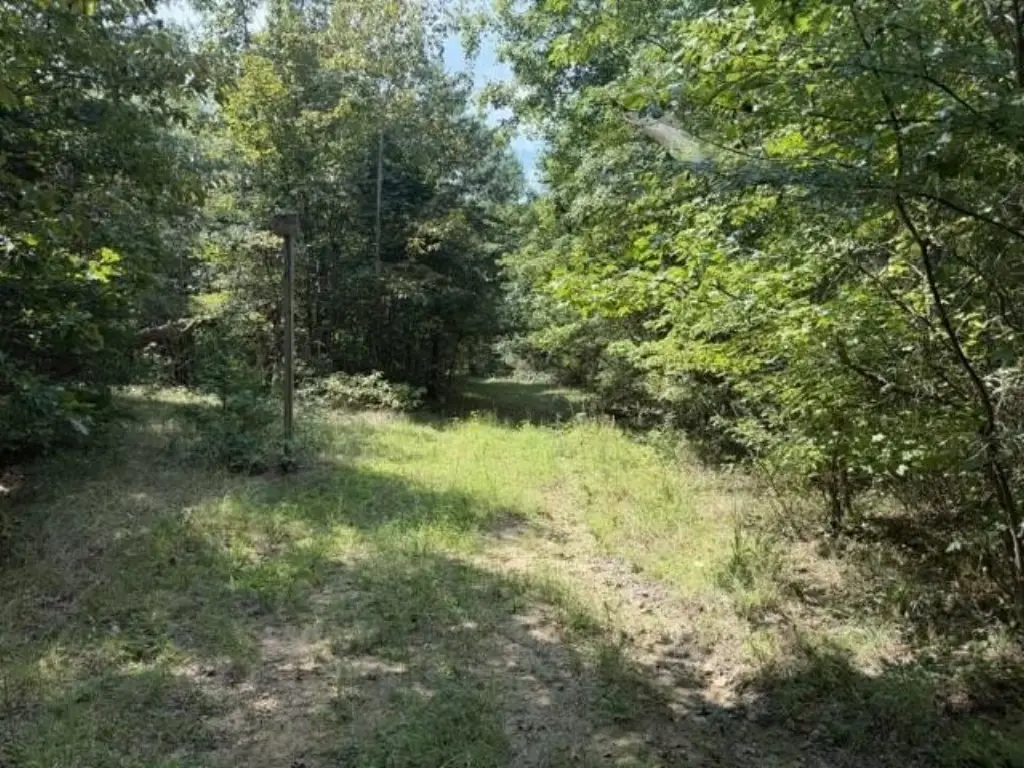 Picture 8