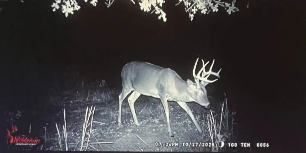 Picture 22