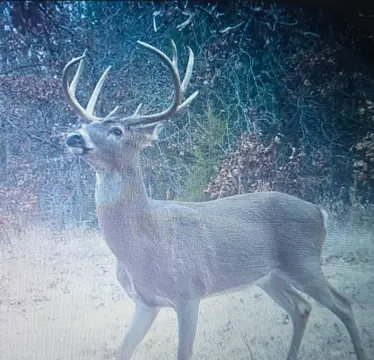 Barton County Recreational Hunting Land