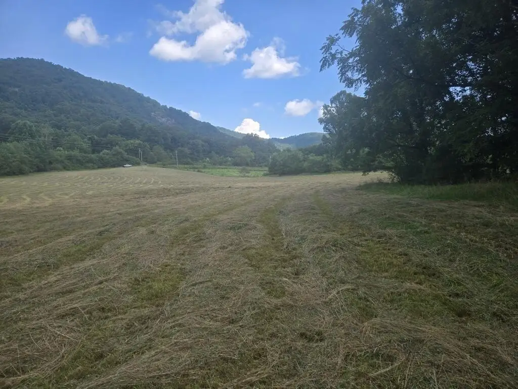 Picture 13