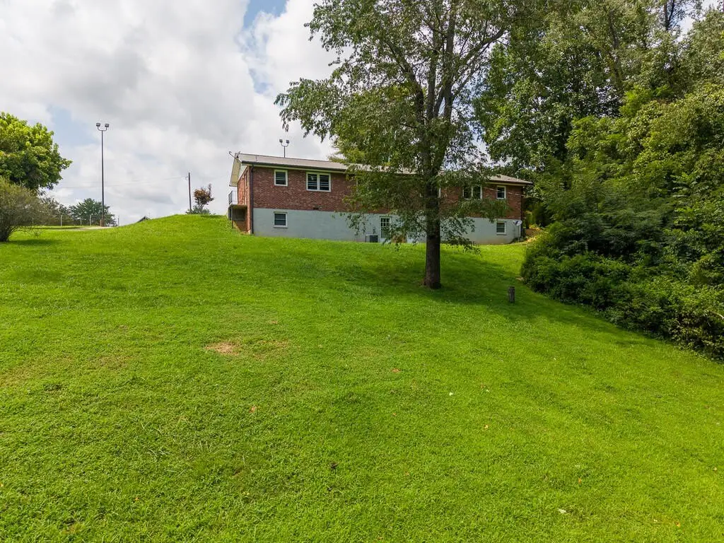 Picture 44