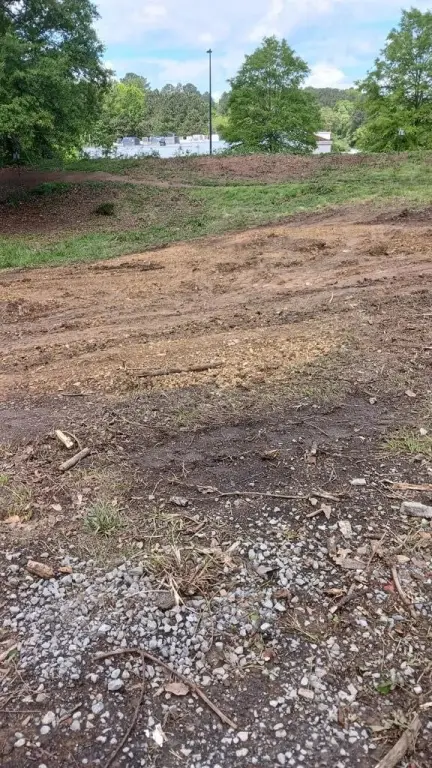 Picture 14