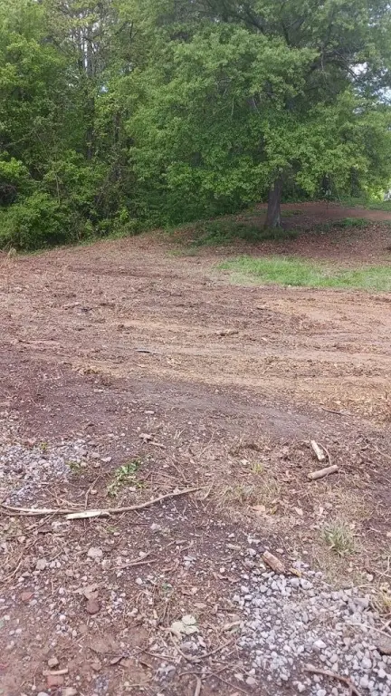 Picture 13