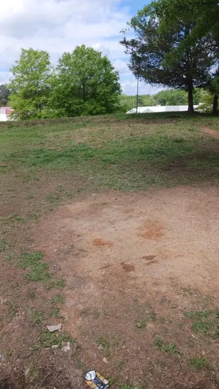 Picture 10