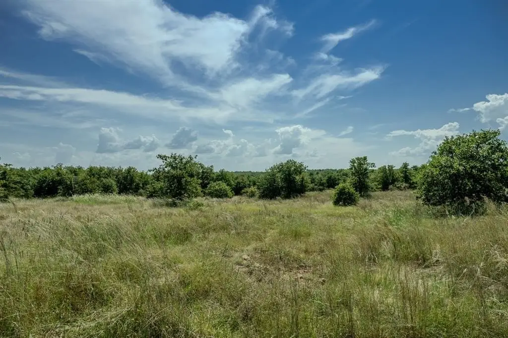 Picture 27