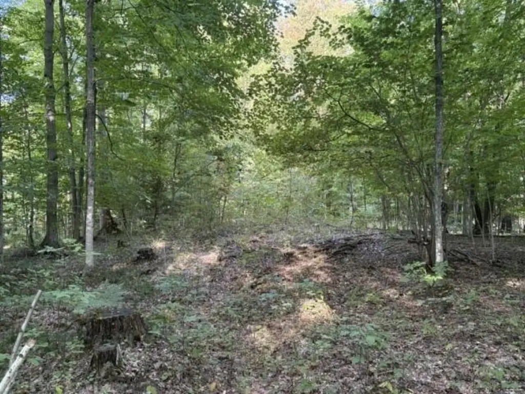 Picture 15