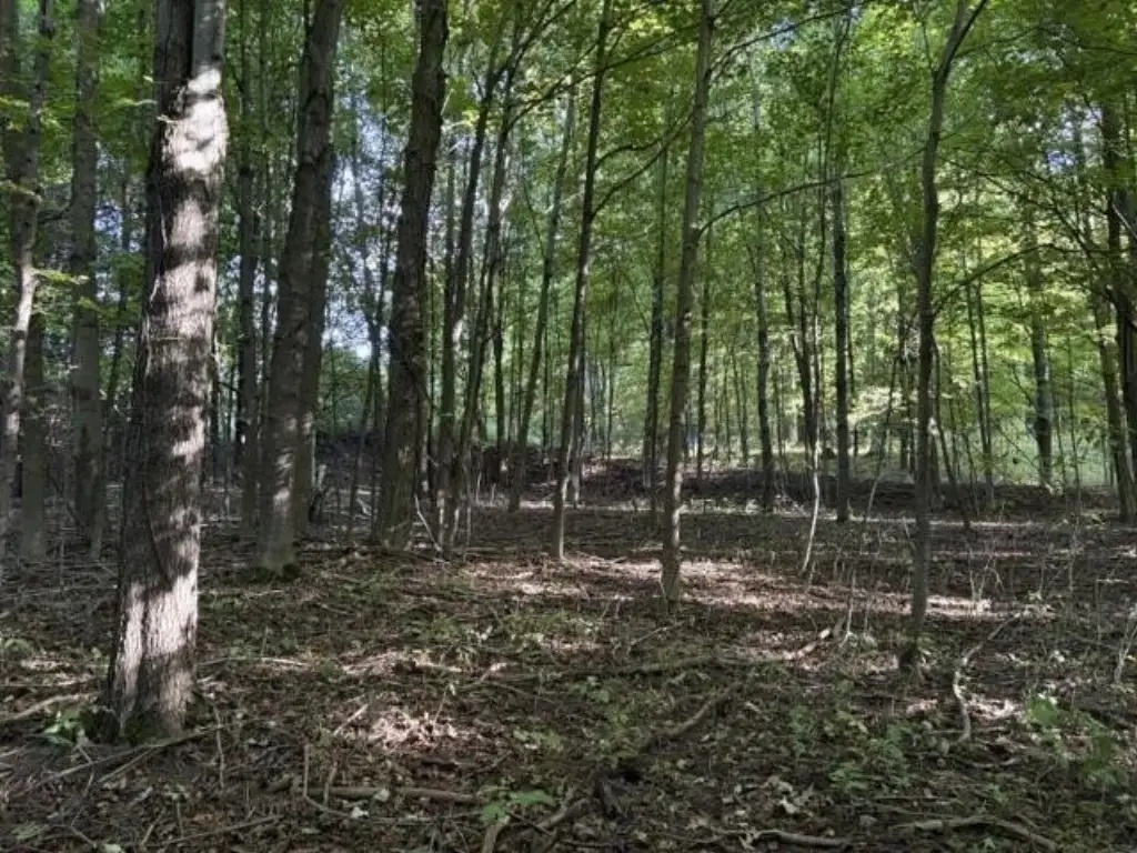 Picture 16