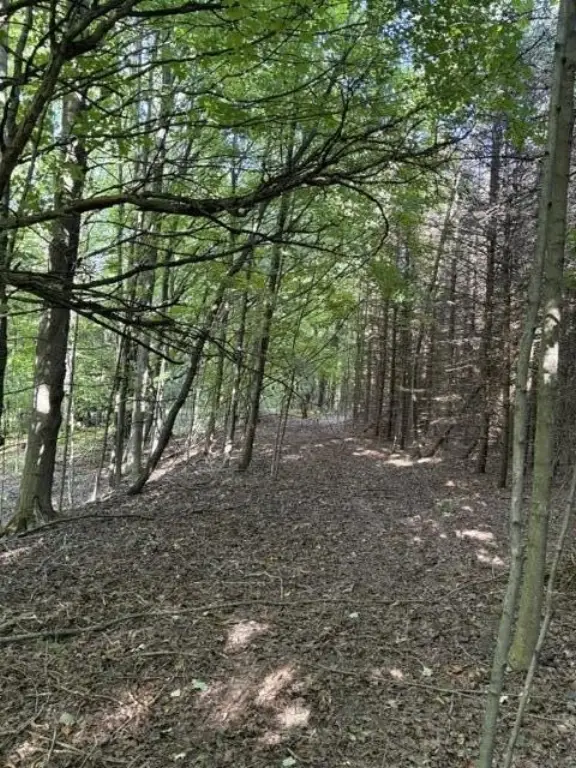 Picture 21