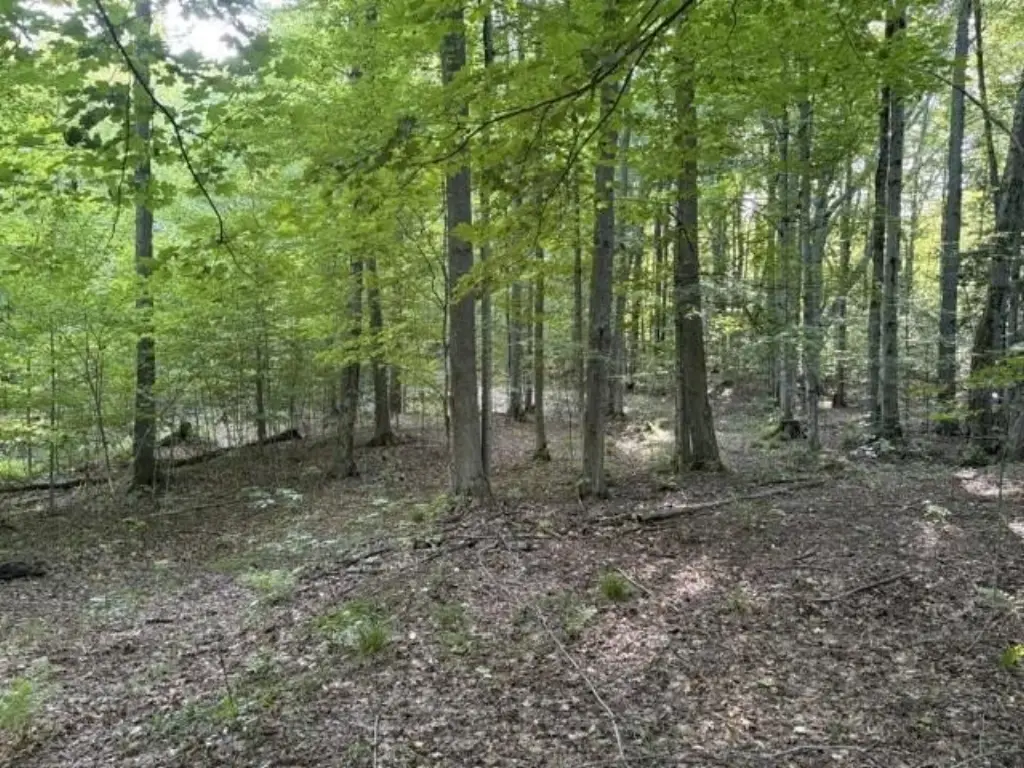 Picture 14