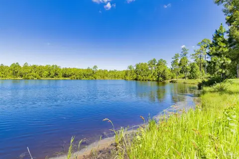 Lakefront Land in Seminole, AL