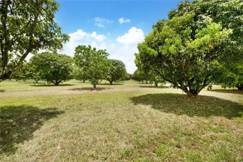 Spacious Agricultural Land in Miami