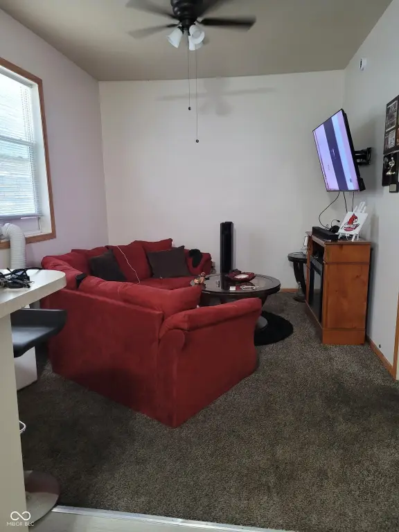 Picture 3
