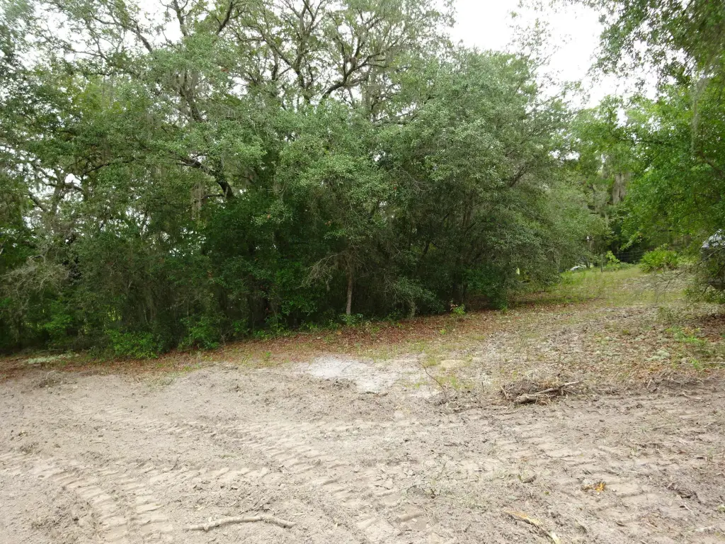 Picture 6