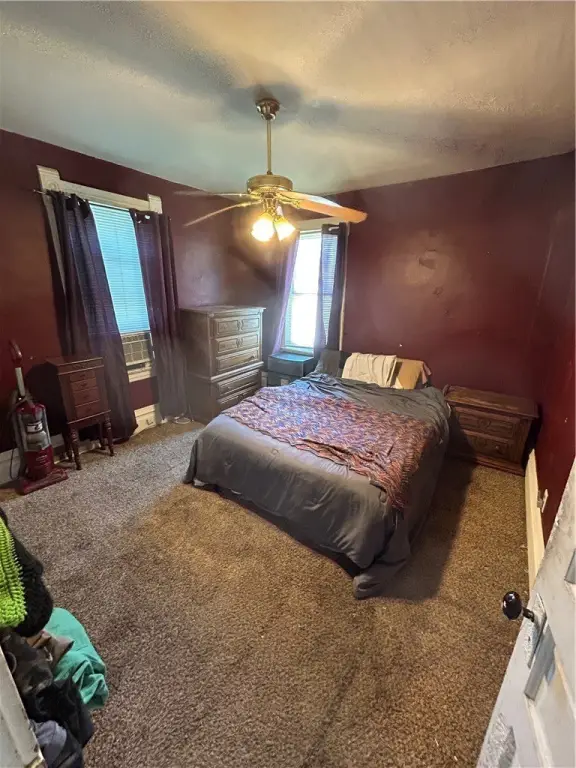 Picture 19