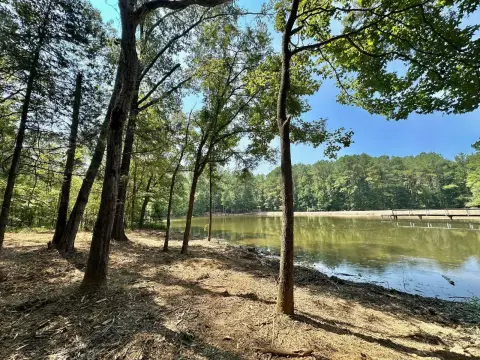 231 Acres Hunting/Timber Investment Land